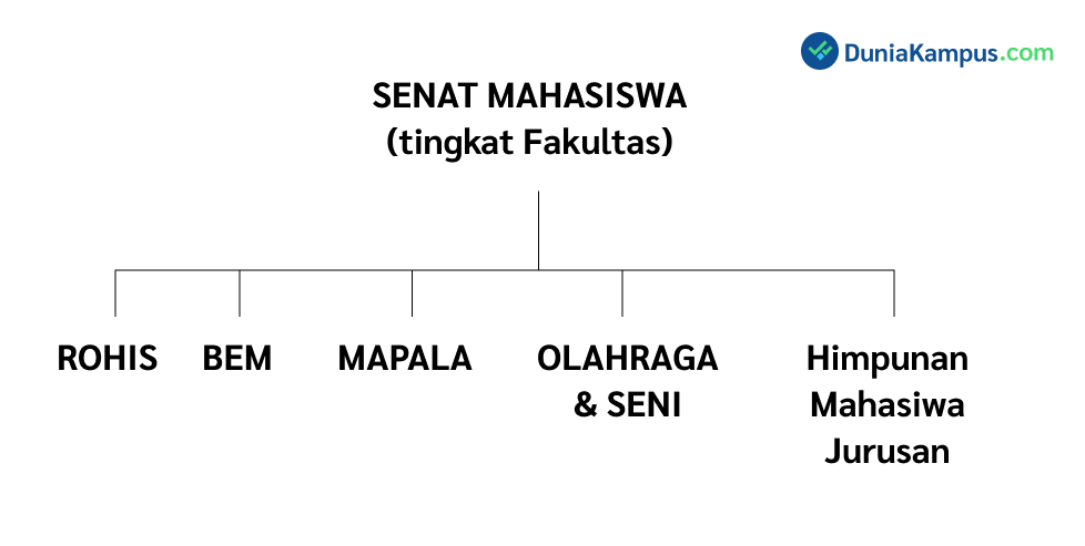 fungsi anggaran senat mahasiswa